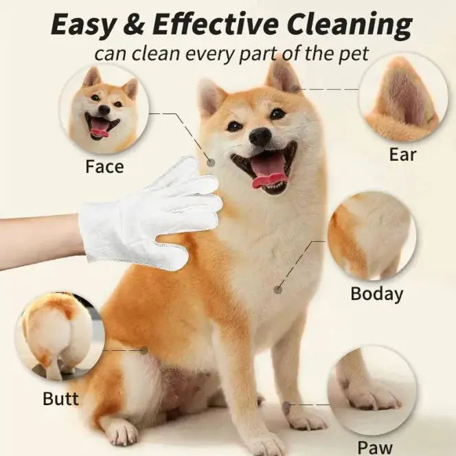 Dog being cleaned with a gloved hand, showing cleaning areas like face, ear, body, butt, and paw.