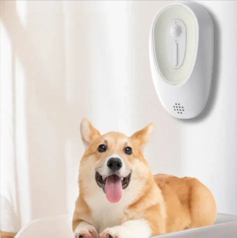 Dog sitting next to a Pet Odor Eliminator and Deodorizer on a light-colored wall.