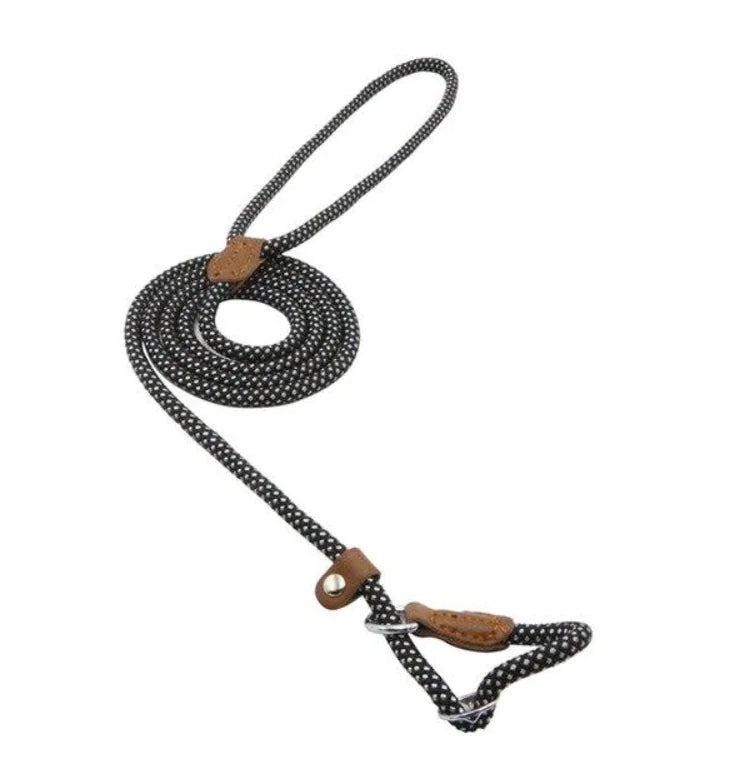 Black and white patterned dog leash with brown leather handles on a white background